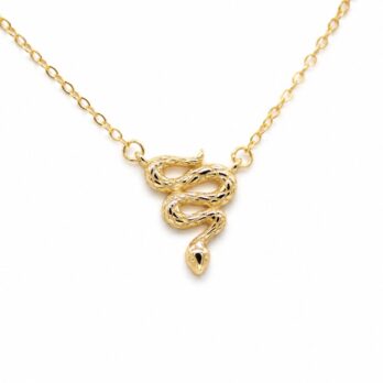 Stříbrný náhrdelník – had