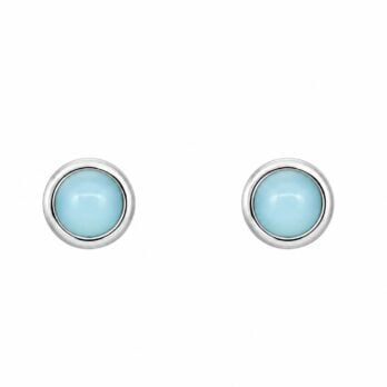 Stříbrné náušnice – larimar